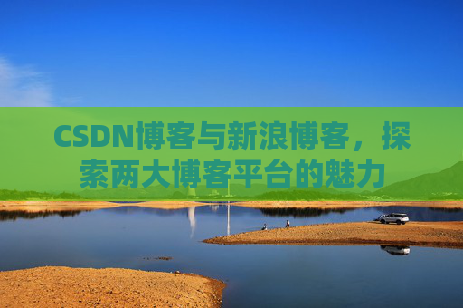 CSDN博客与新浪博客，探索两大博客平台的魅力